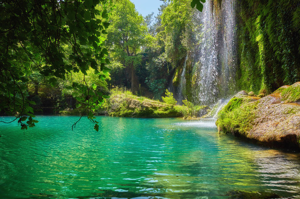 Пруд с чистой голубой водой в тропическом лесу
 - Фото, изображение