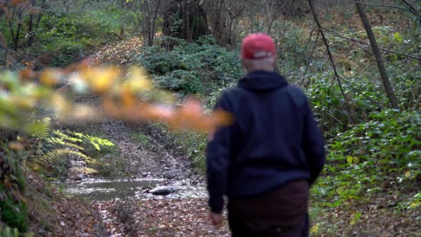 Man crosses the creek in the wood - Felvétel, videó