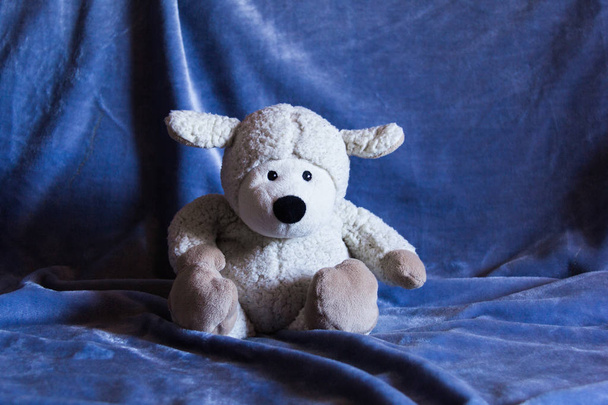 Koyun oyuncağı 2 - Fotoğraf, Görsel