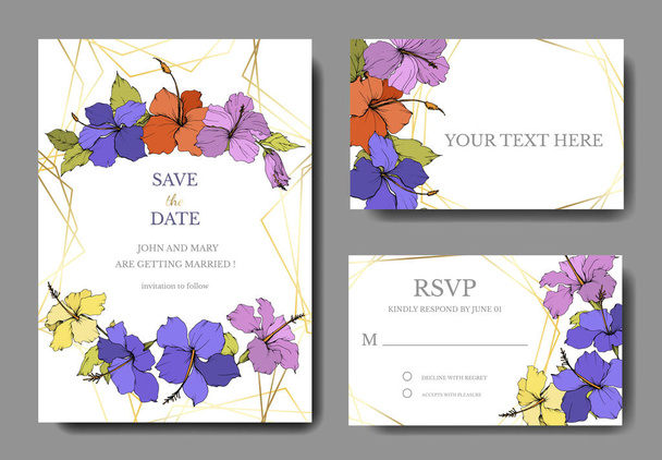 Vector Hibiscus flor botânica floral. Arte de tinta gravada. Casamento cartão de fundo floral borda decorativa
. - Vetor, Imagem
