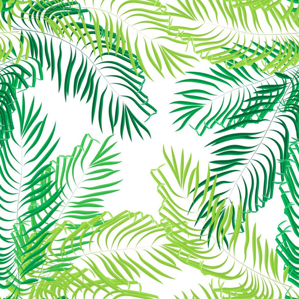 Vecteur feuilles de palmier d'été sans couture sur fond blanc
. - Vecteur, image