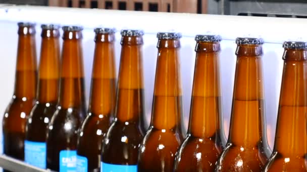醸造所 - 生産、瓶詰めビール瓶のコンベヤ ベルト。ビール瓶ビール工場でベルトコンベア上を移動します。自動化された製造ライン上の緑の瓶。ビールの瓶詰め装置 - 映像、動画