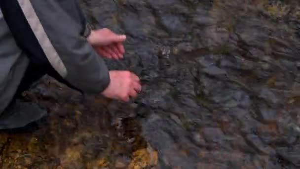 Mann wäscht sich in Waldbach die Hände - Filmmaterial, Video