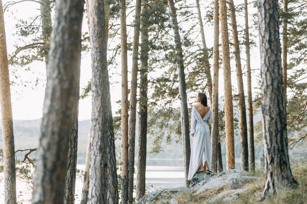 Girl in a boudoir dress in a pine forest. Standing on the rocks in a thin flying dress. Unity with nature at the wedding. Bride at sunset - 写真・画像