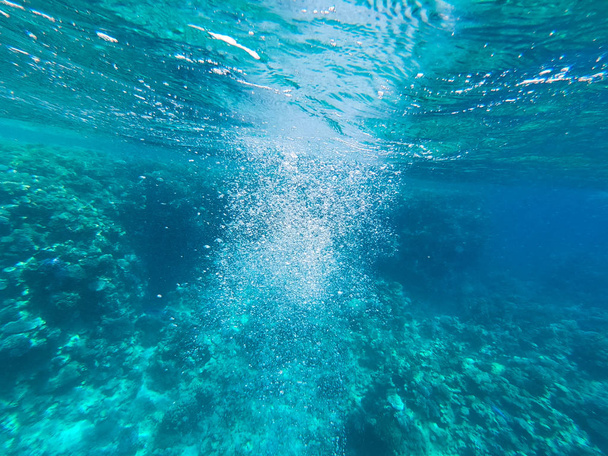 Підводні зйомки коралових рифів у Червоному морі. Чиста блакитна вода, прекрасні корали. Природний природний фон. Місце для вставки тексту. Тематика туризму та подорожей
. - Фото, зображення
