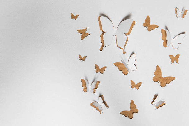 Beautiful paper butterflies - Foto, Imagem