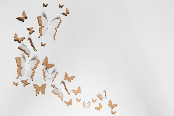 Beautiful paper butterflies - Фото, зображення
