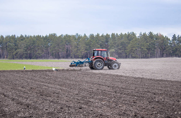 Фермер на тракторе готовит землю с земледельцем. Посев на сельскохозяйственных полях
. - Фото, изображение