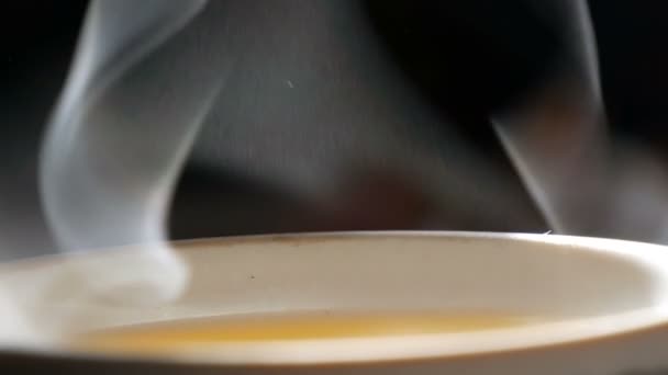 Pramínek páry zvolna stoupá z poháru s výhledem na čaj. Svítí bílá pára, na černém pozadí jsou půvabné větviky - Záběry, video