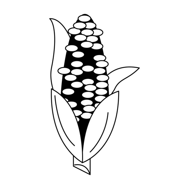 Verdura fresca di mais in bianco e nero
 - Vettoriali, immagini