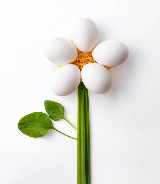 pretty chamomile flower Application from chicken eggs and green  - Zdjęcie, obraz