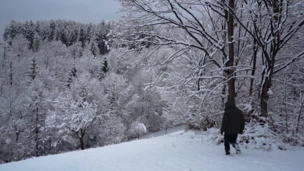 Man goes in deep snow to forest - Materiał filmowy, wideo