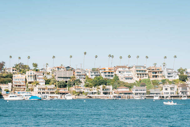 View of Corona del Mar from West Jetty View Park, in Newport Bea - 写真・画像