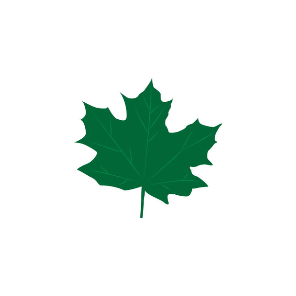 Зелені кленові листя ізольовані на білому тлі. Плоский стиль
 - Вектор, зображення