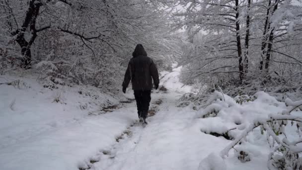 Man goes in deep snow under branches - Filmati, video