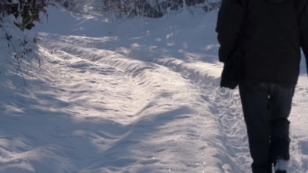 男は枝の下で深い雪の中で行く - 映像、動画
