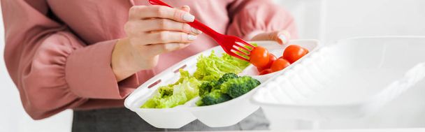 panoramic shot of woman holding takeaway box with organic vegetables  - Photo, image
