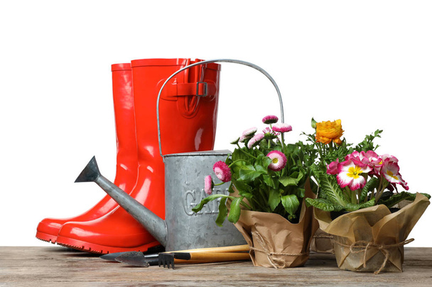 Composition with plants and gardening tools on table against white background - Фото, изображение