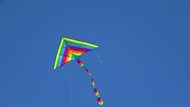 Kleurrijke kite stijgende op wolkenloze blauwe hemel. - Video