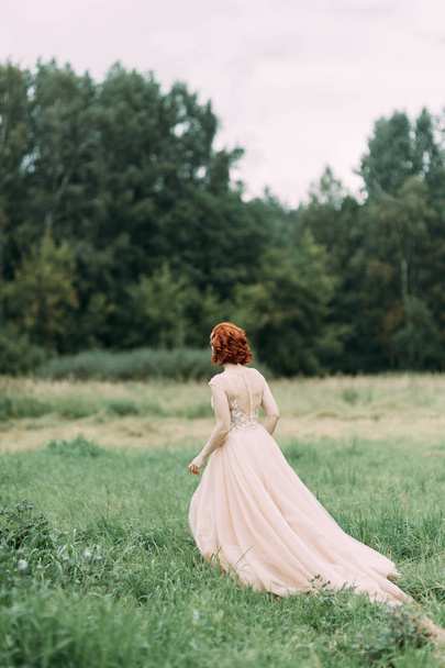 Bride in a field of tall grass. Wedding photo shoot in nature in European style. - Fotó, kép