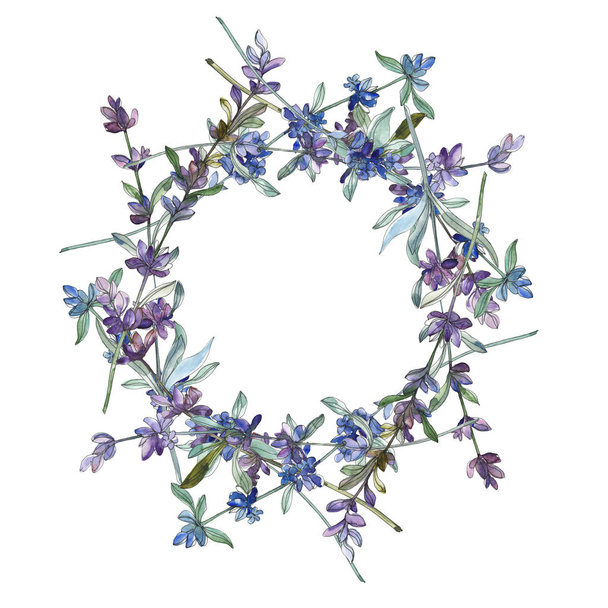 紫ラベンダー花植物の花。水彩画背景イラスト セット。フレーム枠飾りスクエア. - 写真・画像