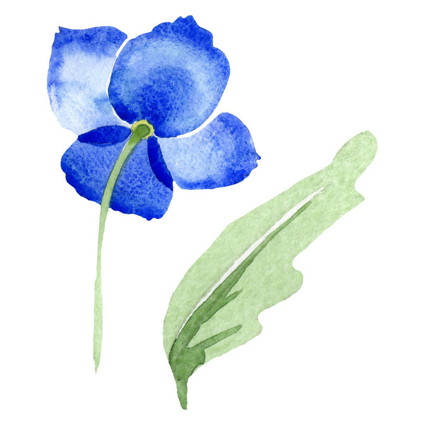 Kék mák virág botanikai virágok. Akvarell háttér illusztráció készlet. Elszigetelt Pipacsok ábra elem. - Fotó, kép