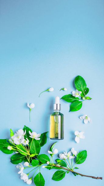 Natural organic cosmetics on blue background in a frame of flowers, blossoming apple tree. - Foto, imagen
