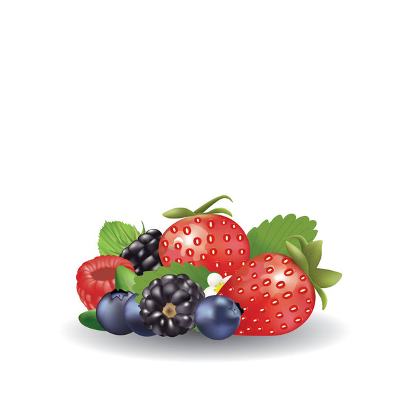 Forest fruits set. vector illustration - Vector, Image