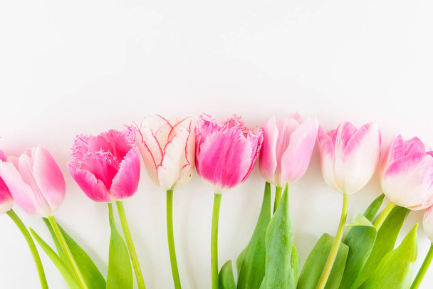 Pink and white bouquet of tulips on white background. - Photo, Image