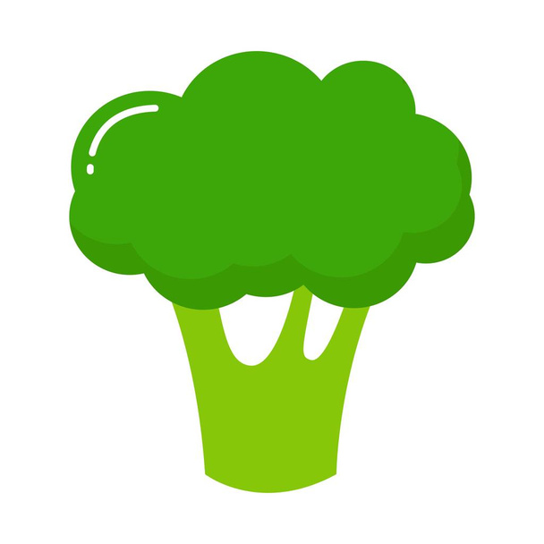 Broccoli-pictogram. Vlakke afbeelding voor broccoli vector icon geïsoleerd op witte achtergrond - Vector, afbeelding