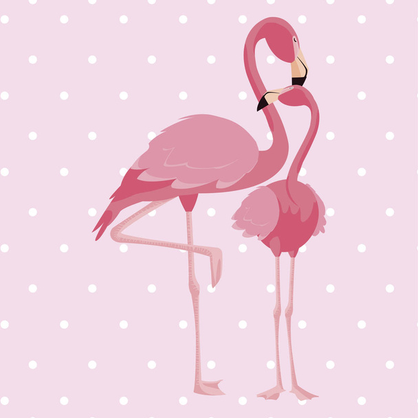 elegante flamingo aves casal pontilhado fundo
 - Vetor, Imagem