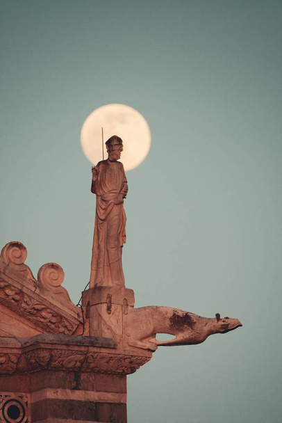 ピサのミラクル広場に月と大聖堂の屋根の上の像彫刻イタリア. - 写真・画像