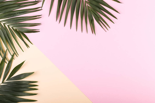 Palm leaves on colored paper. Summer mood, tropical background, blank. - Foto, Imagen
