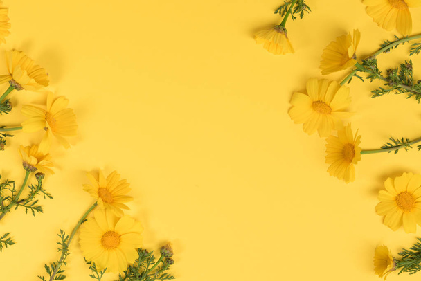 Flowers composition. Chamomile flowers on yellow background. Spring, summer concept. Flat lay, top view, copy space - Foto, Bild