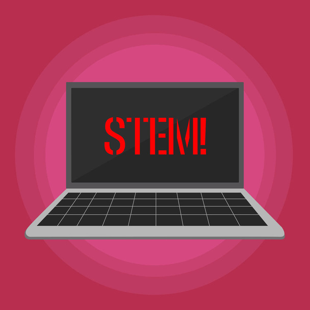 Text sign showing Stem. Conceptual photo Development destruction of huanalysis embryos for science and research Laptop with Grid Design Keyboard and Blank Black Screen on Pastel Backdrop. - Photo, Image