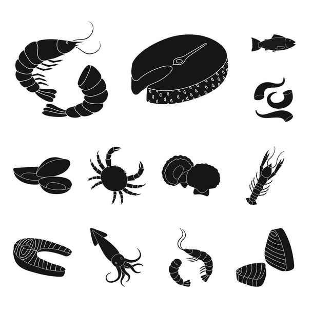 Isolated object of market and marine  logo. Collection of market and sea stock vector illustration. - Вектор,изображение