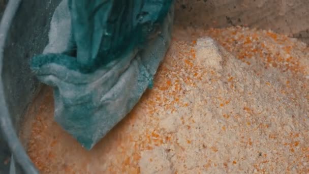 Kukorica korpa vagy pehely speciális gép őrlése gabona. Cornmeal vagy aprított kukorica közeli kilátás - Felvétel, videó