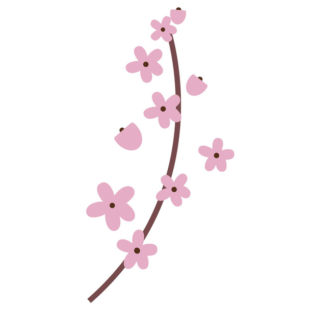 Sakura flat illustration on white - Vector, imagen