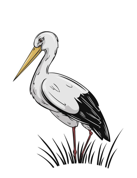 a fehér gólya, kézzel rajzolt vektoros illusztráció - Vektor, kép