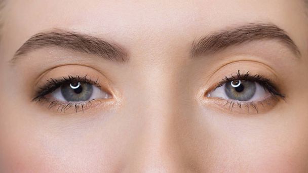Macro shot of woman's beautiful eye with extremely long eyelashes. Sexy view, sensual look. Female eye with long eyelashes - Fotografie, Obrázek