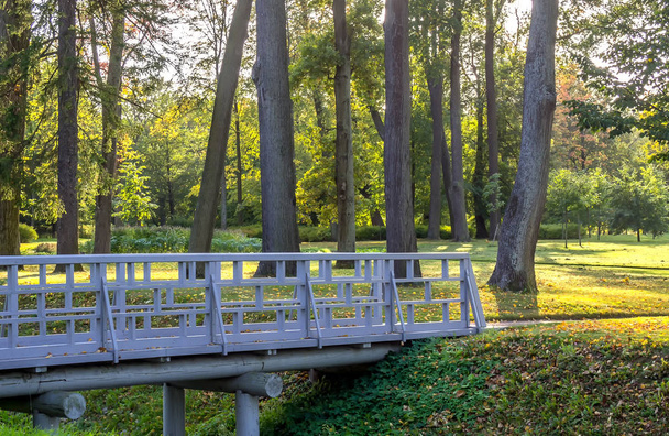 Wooden bridge in the park - Фото, изображение