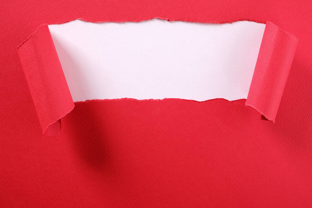 Bande de papier rouge déchiré bord bouclé révélant fond blanc
 - Photo, image