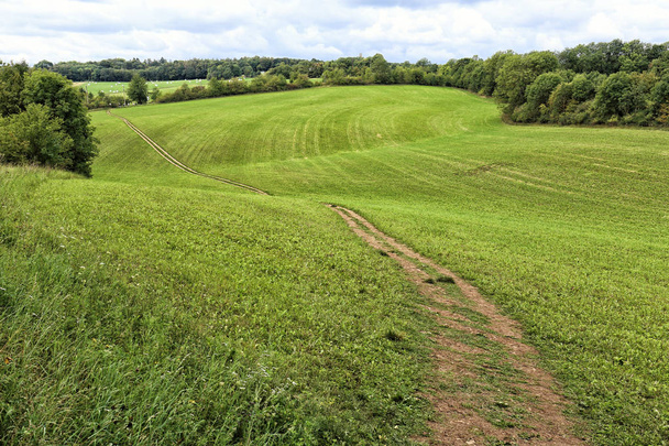 pâturages verdoyants avec la route des champs
 - Photo, image