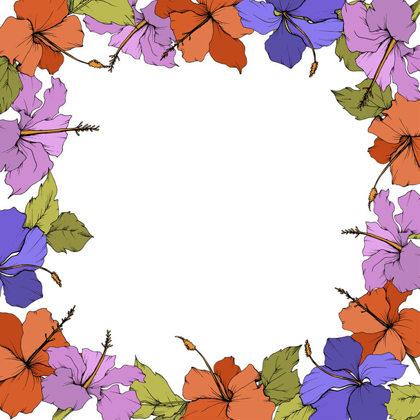 Vector Hibiscus floral botanical flower. Engraved ink art. Frame border ornament square. - ベクター画像
