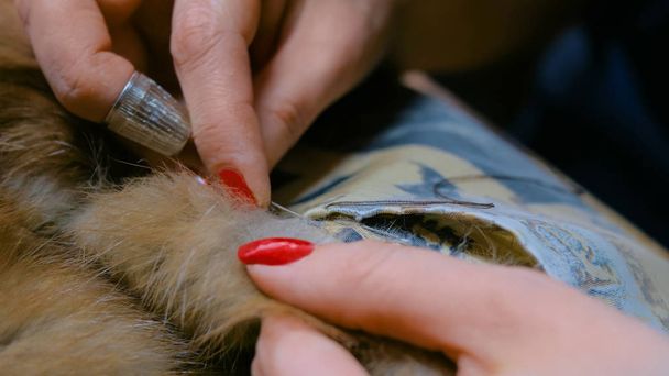 Tailor repairing fur coat - Photo, Image