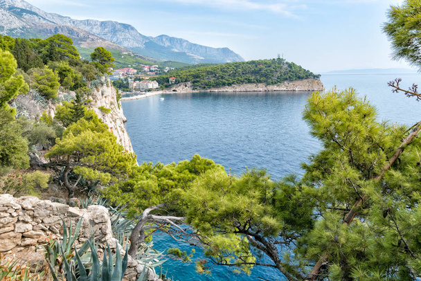 blaues Meer und grüne Kiefern an der Adriaküste in Kroatien - Foto, Bild