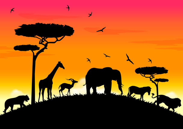 Afrikanischer Sonnenuntergang - Vektor, Bild