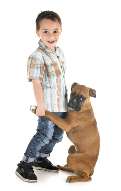 щенок боксер и ребенок
 - Фото, изображение
