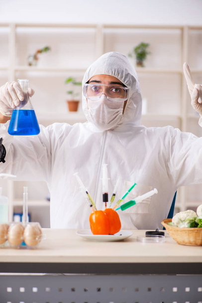 Scienziato che lavora in laboratorio sugli OGM frutta e verdura - Foto, immagini