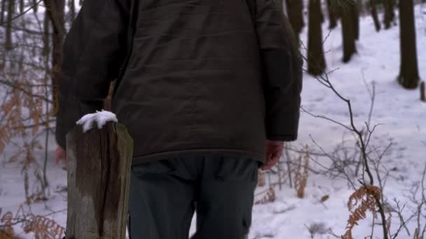 Man goes through snowy forest path - Video